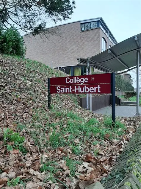 Collège Saint-Hubert - Fondamental - P4 à P6